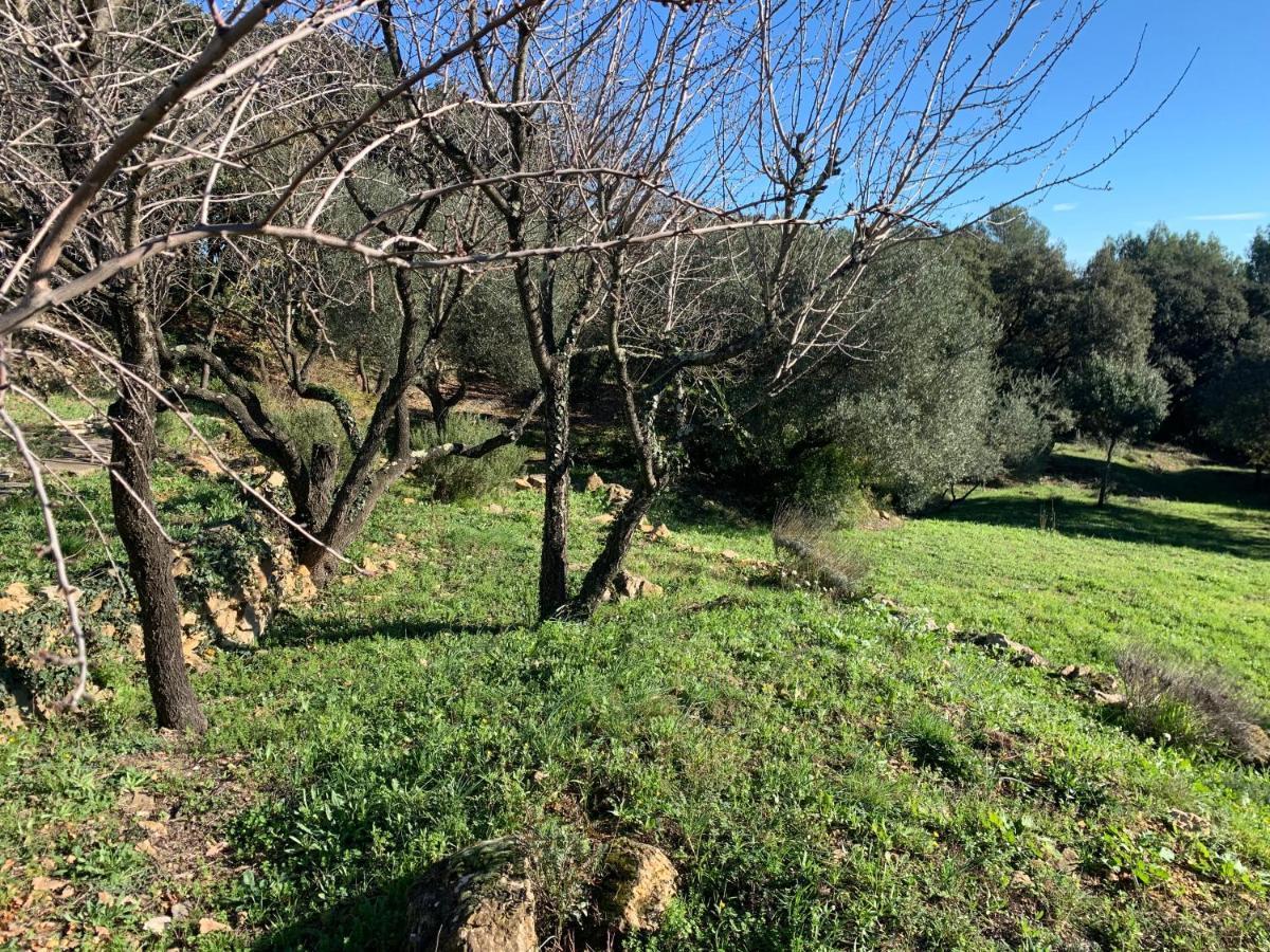 Les Terrasses Des Gardies Bed and Breakfast Pignan Εξωτερικό φωτογραφία